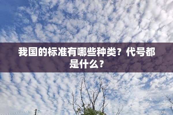 我国的标准有哪些种类？代号都是什么？