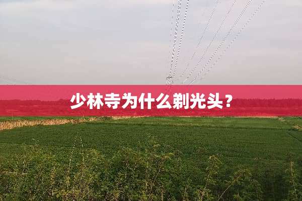 少林寺为什么剃光头？