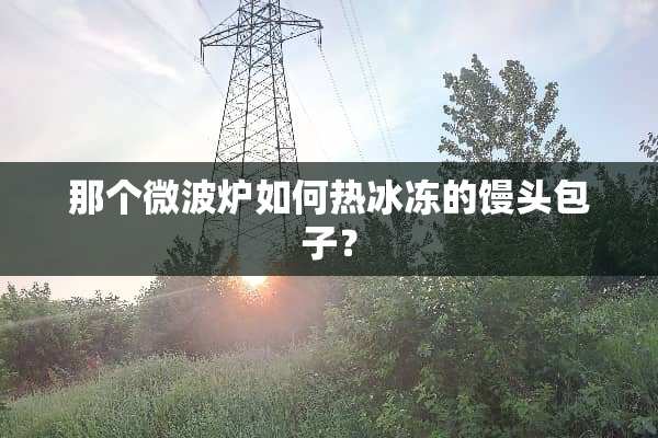 那个微波炉如何热冰冻的馒头包子？