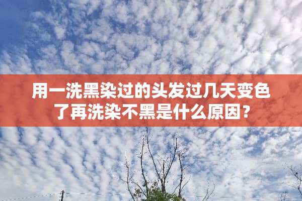 用一洗黑染过的头发过几天变色了再洗染不黑是什么原因？