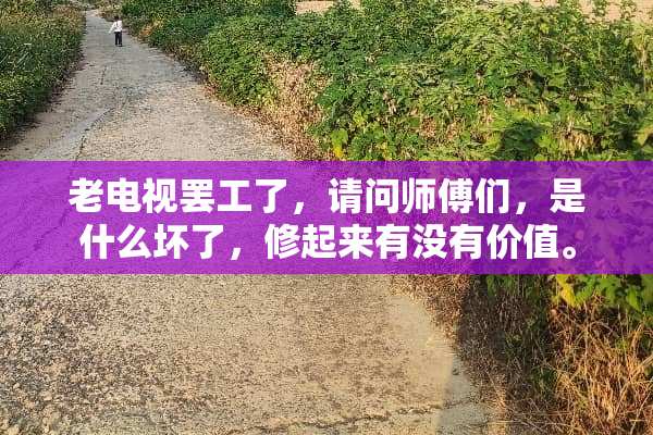 老电视**了，请问师傅们，是什么坏了，修起来有没有价值。