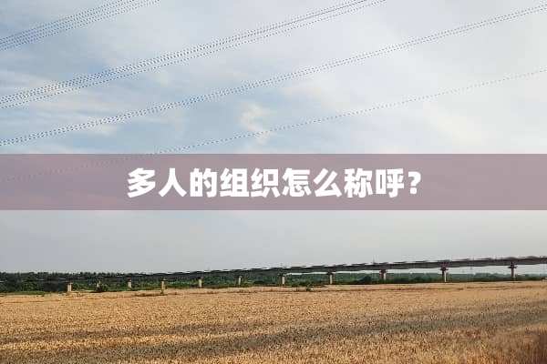 多人的组织怎么称呼？
