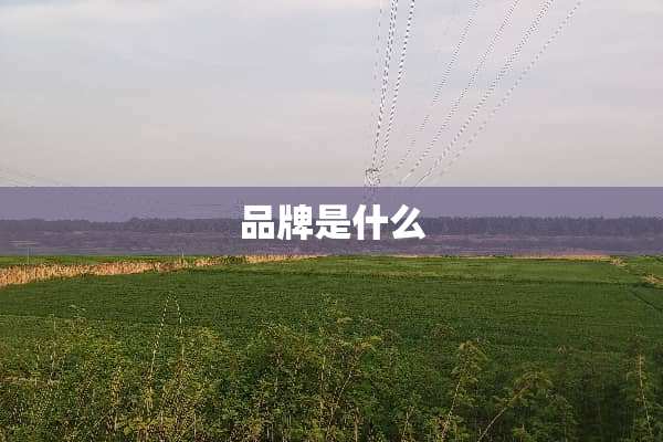 品牌是什么