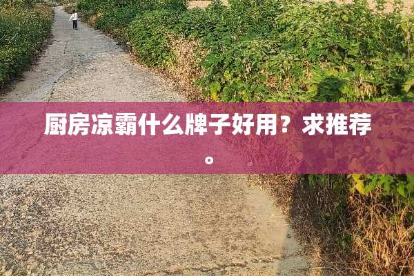 厨房凉霸什么牌子好用？求推荐。