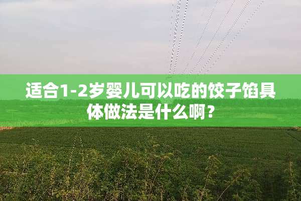 适合1-2岁婴儿可以吃的饺子馅具体做法是什么啊？