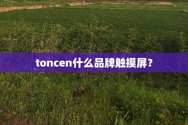 toncen什么品牌触摸屏？