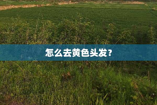 怎么去黄色头发？