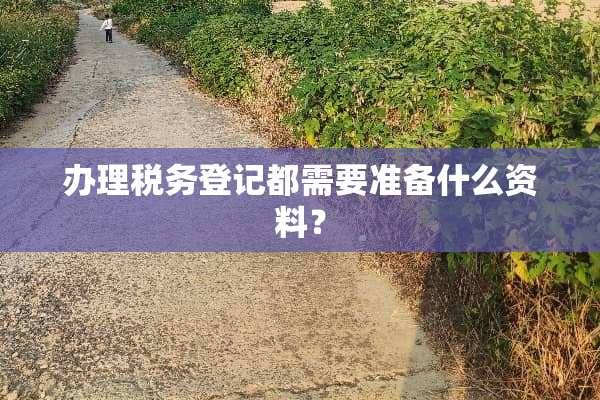 办理税务登记都需要准备什么资料？