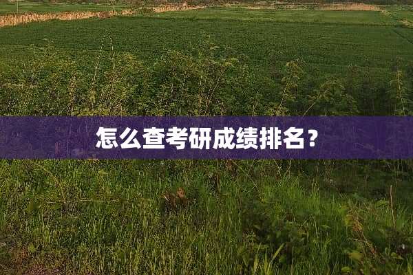 怎么查考研成绩排名？