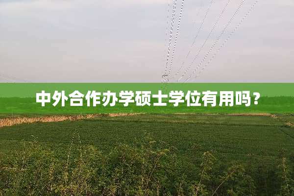 中外合作办学硕士学位有用吗？