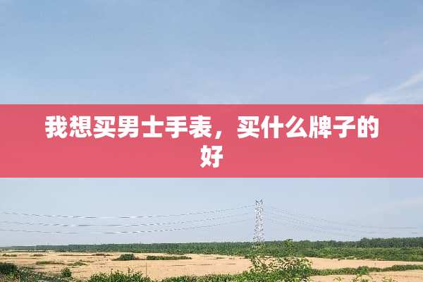我想买男士手表，买什么牌子的好