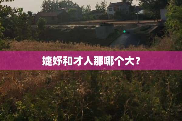 婕妤和才人那哪个大？