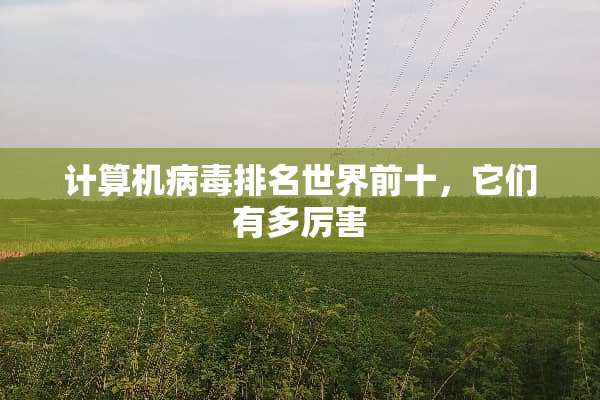 计算机**排名世界前十，它们有多厉害