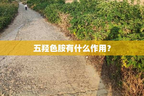 五羟色胺有什么作用？