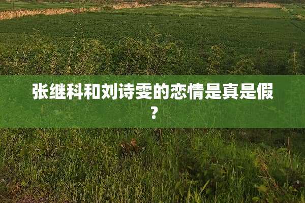 张继科和刘诗雯的恋情是真是假？
