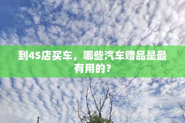到4S店买车，哪些汽车赠品是最有用的？