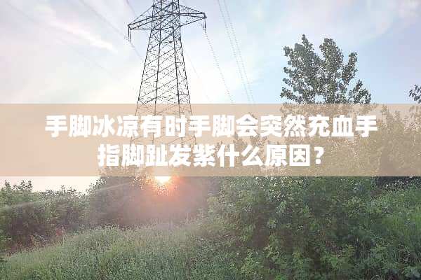 手脚冰凉有时手脚会突然充血手指脚趾发紫什么原因？