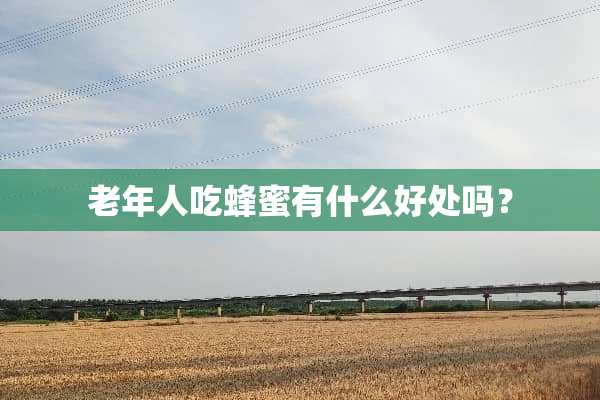 老年人吃蜂蜜有什么好处吗？