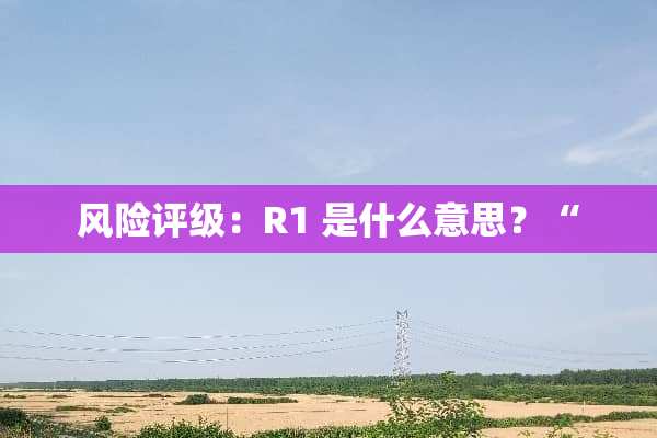 风险评级：R1 是什么意思？“