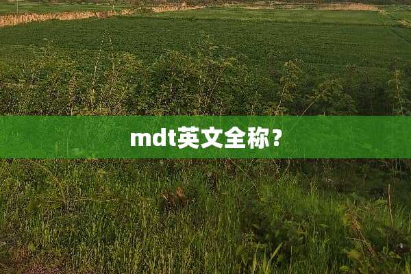 mdt英文全称？
