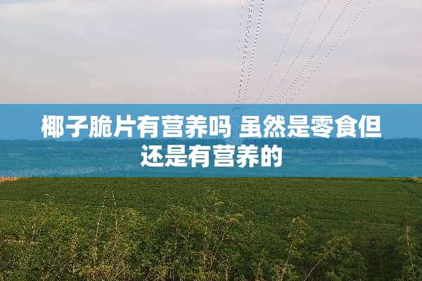 椰子脆片有营养吗 虽然是零食但还是有营养的
