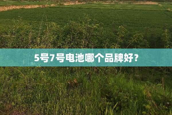 5号7号电池哪个品牌好？
