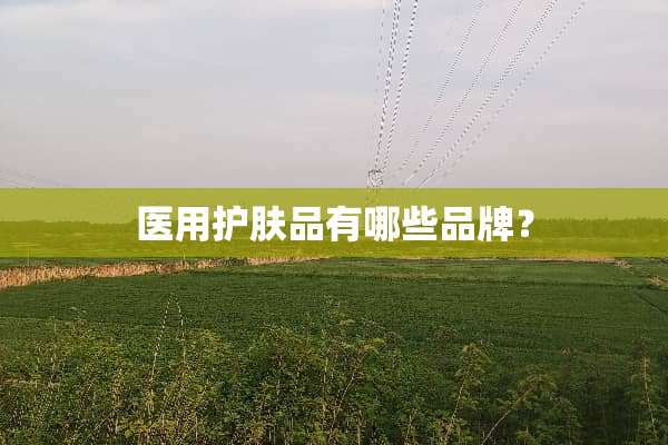 医用护肤品有哪些品牌？