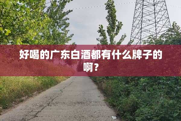 好喝的广东白酒都有什么牌子的啊？