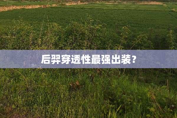 后羿穿透性最强出装？