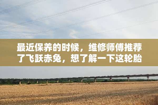 最近保养的时候，维修师傅推荐了飞跃赤兔，想了解一下这轮胎怎么样，值得购买吗？