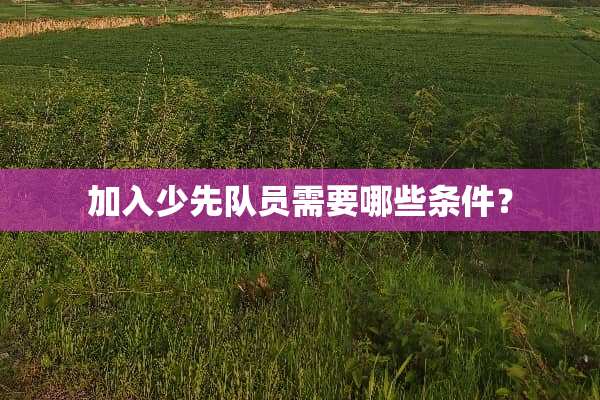 加入少先队员需要哪些条件？