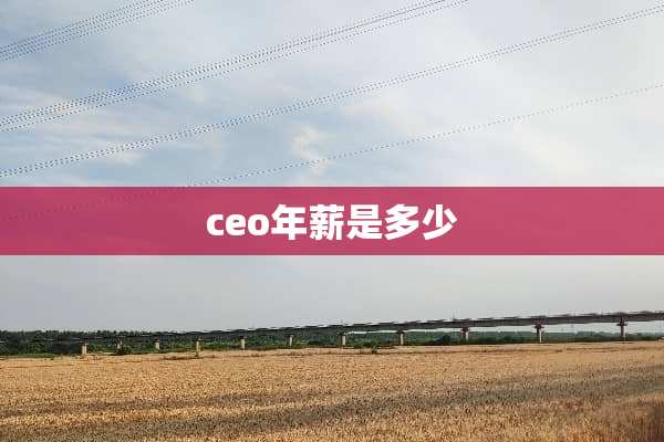 ceo年薪是多少