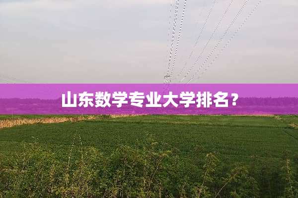 山东数学专业大学排名？