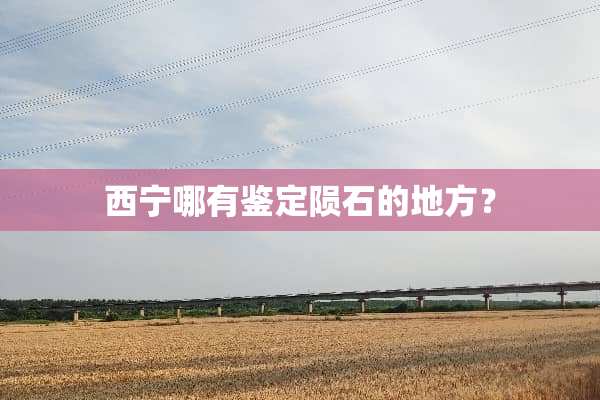 西宁哪有鉴定陨石的地方？