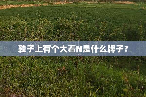 鞋子上有个大着N是什么牌子？