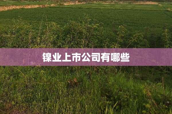 镍业上市公司有哪些
