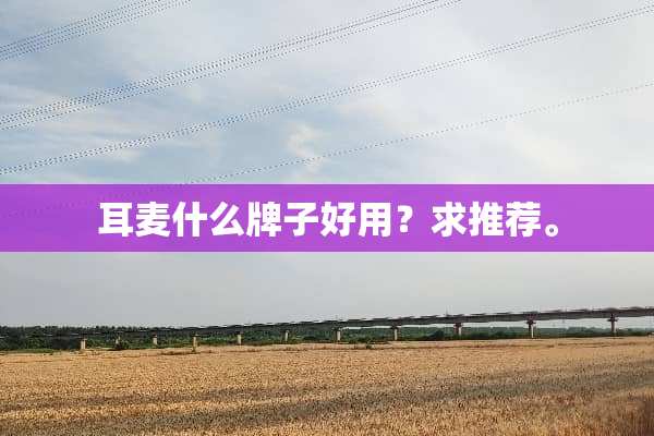耳麦什么牌子好用？求推荐。
