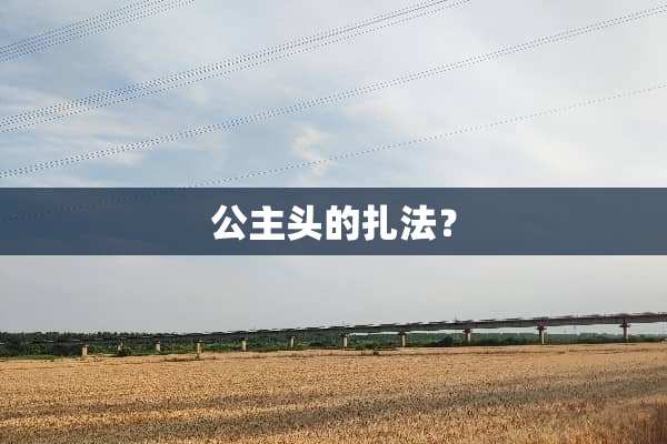 公主头的扎法？