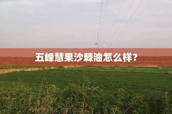 五峰慧果沙棘油怎么样？