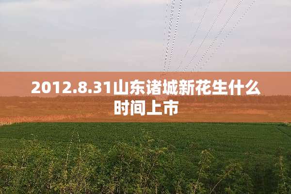 2012.8.31山东诸城新花生什么时间上市