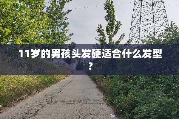 11岁的男孩头发硬适合什么发型？