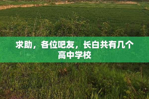 求助，各位吧友，长白共有几个高中学校