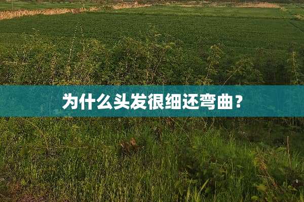 为什么头发很细还弯曲？