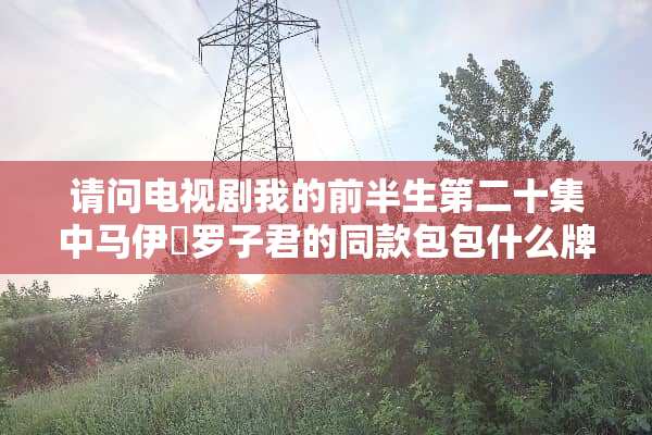 请问电视剧我的前半生第二十集中马伊琍罗子君的同款包包什么牌子？急！