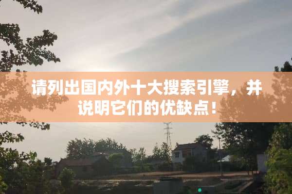 请列出国内外十大搜索引擎，并说明它们的优缺点！