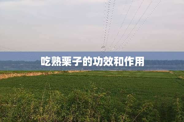 吃熟栗子的功效和作用