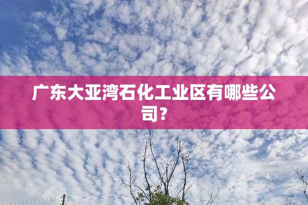 广东大亚湾石化工业区有哪些公司？