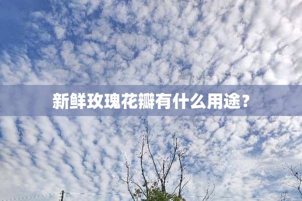 新鲜玫瑰花瓣有什么用途？