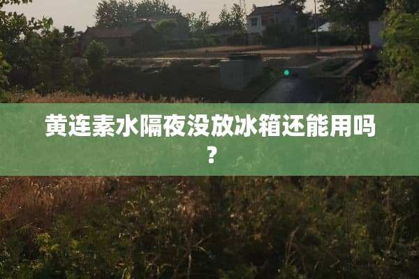 黄连素水隔夜没放冰箱还能用吗？