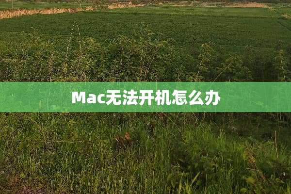 Mac无法开机怎么办